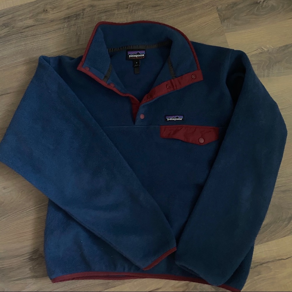 Patagonia Micro D Snap-T Fleece Pullover